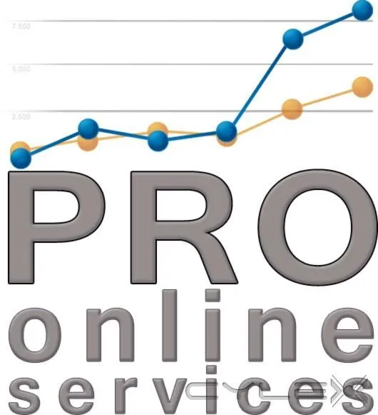 Business 3 image PRO ONLINE SERVICES
