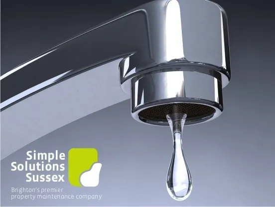 Business 2 image SCOOBY'S DOG GROOMING