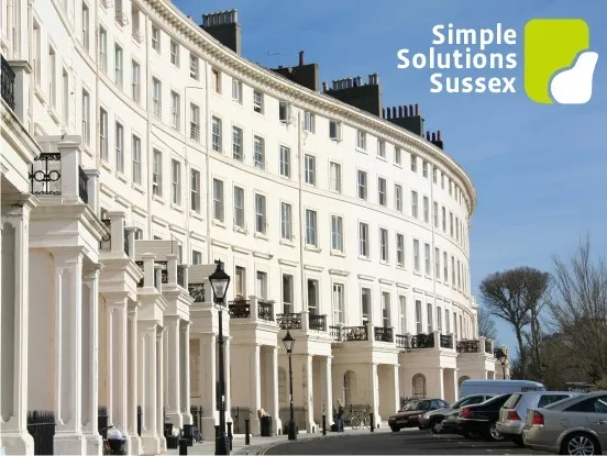 Business 1 image SCOOBY'S DOG GROOMING