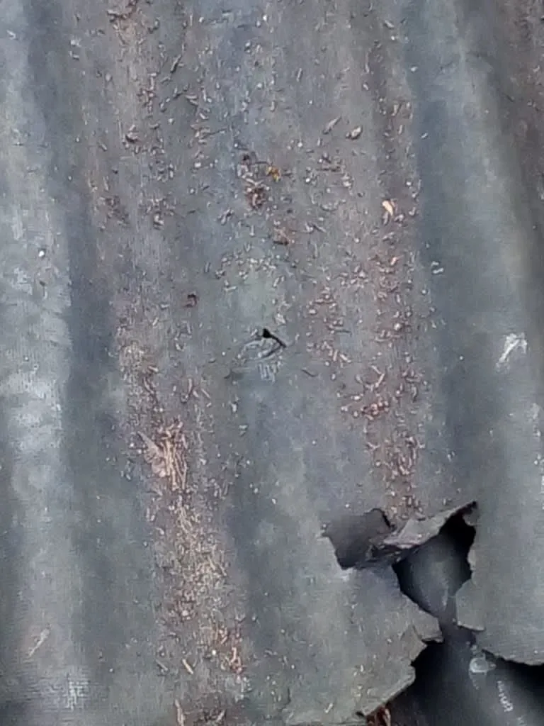 Business 76 image PRIMESHIELD ROOFING