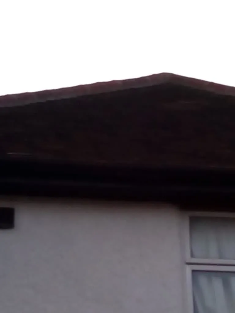 Business 82 image PRIMESHIELD ROOFING