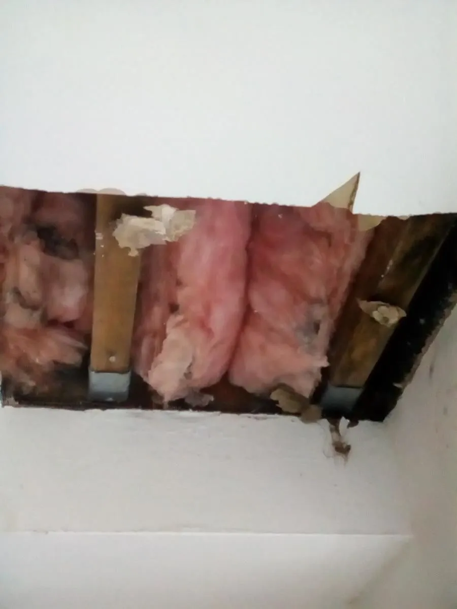 Business 12 image PRIMESHIELD ROOFING