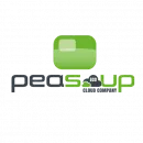 PEASOUP.CLOUD Computers & Software in Weybridge Su