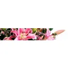 YOXALL FLOWERS & GIFTS