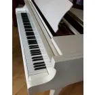 MUSIKUK PIANO & SINGING LESSONS