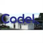 CODEL CONSULTING LTD