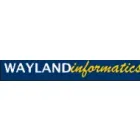 WAYLAND INFORMATICS LTD