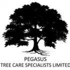 PEGASUS TREE CARE SPECIALISTS LTD