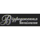 VIDRODZHENIA RENAISSANCE