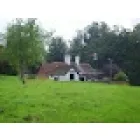 PINKNEYS GREEN SCOUTS