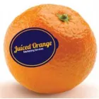 JUICED ORANGE MARKETING SERVICES