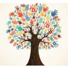 STAFFORD AND SURROUNDS COMMUNITY FOOD SUPPORT