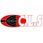 CARLTON LASER SERVICES LTD