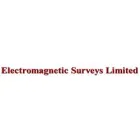 ELECTROMAGNETIC SURVEYS