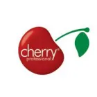 CHERRY PROFESSIONAL LTD